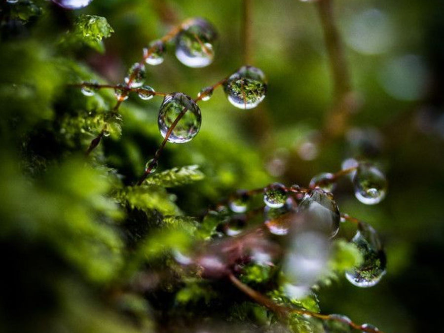 Celebrating Earth Day with Our Spring Collection