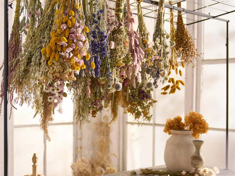 Embracing Viriditas: Hildegard of Bingen’s Herbal Wisdom for a Sacred & Stylish Home