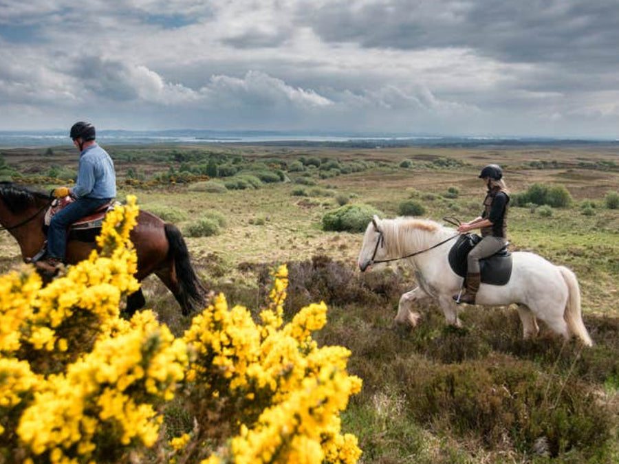 Sláinte to Style and Adventure