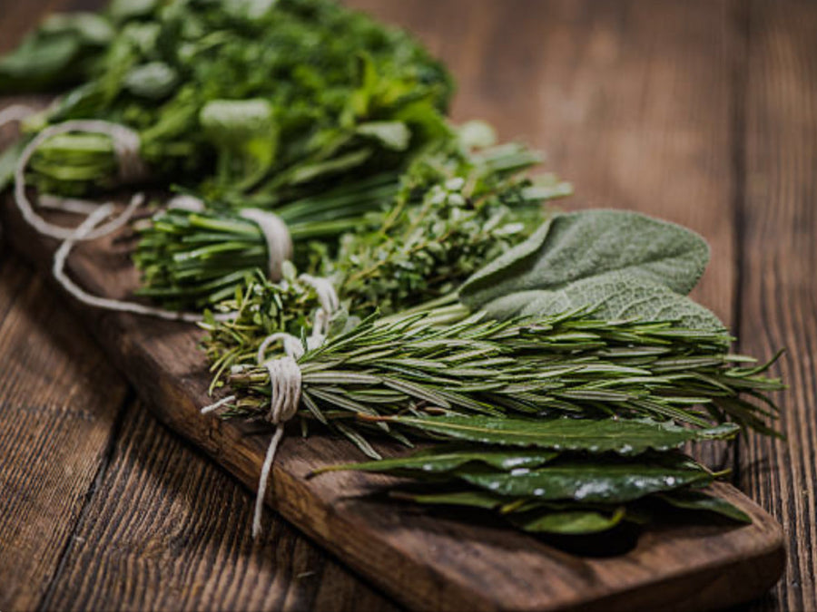 7 of the Best Herbs to Boost Your Health (Plus Irresistible Recipes!)