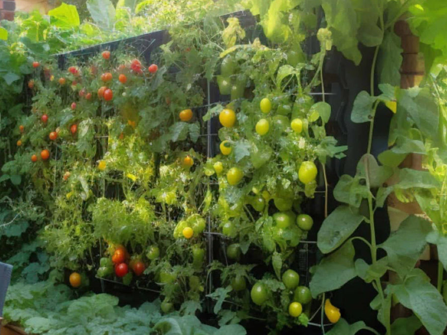 Setting Up Your Vegetable Garden: A Practical Blueprint for Success