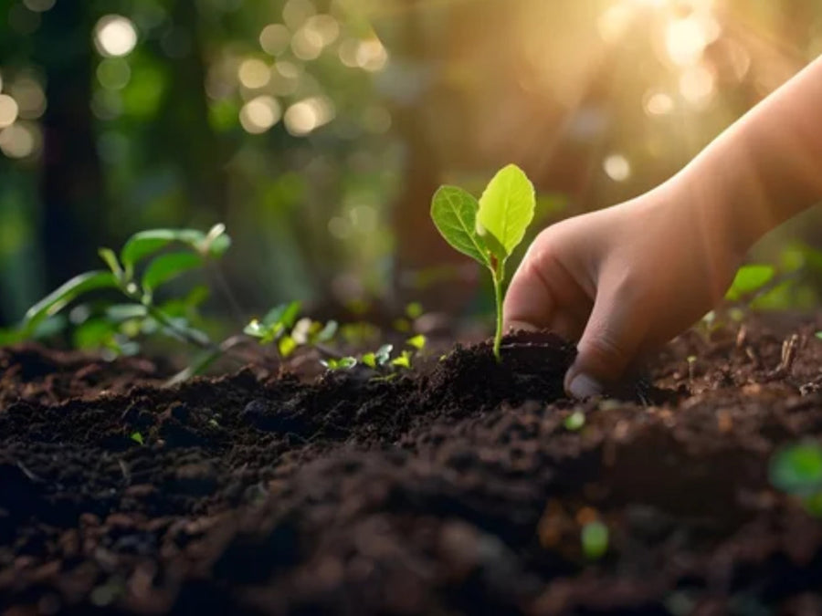 Chapter 6H — Seasons of the Soul: Awakening to Your True Essence