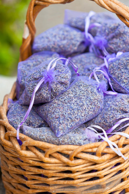 The Earth Sustains Humanity: Herbal Wisdom for Home and Fashion