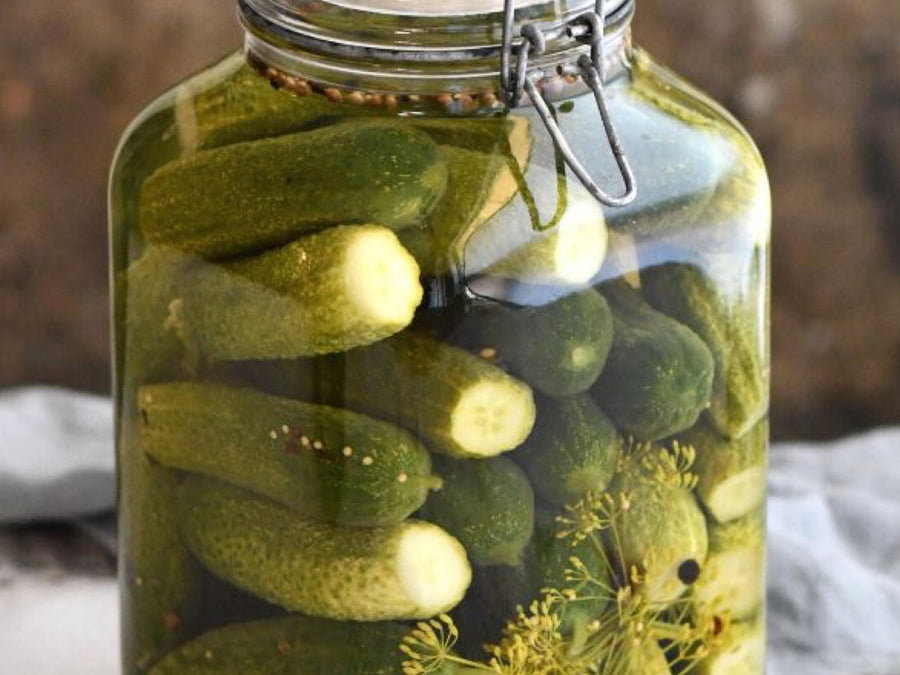 Preserved in Time: Two Dill Pickle Recipes