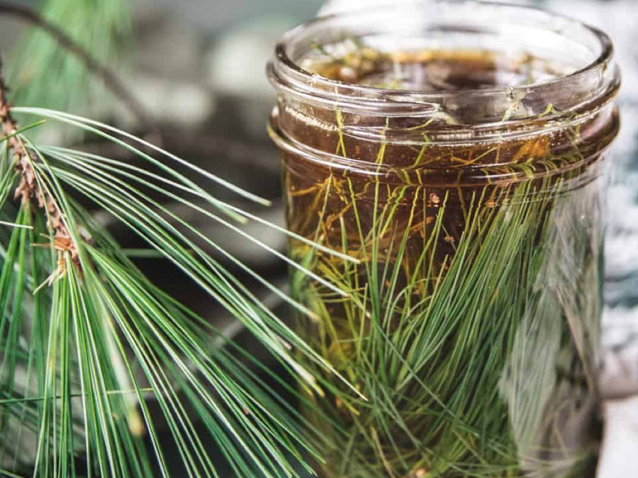 Butterfly-Garden Herbal Tea Syrup