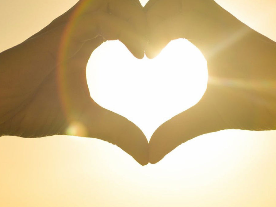 Gentle Hospitality: Womb of the Home