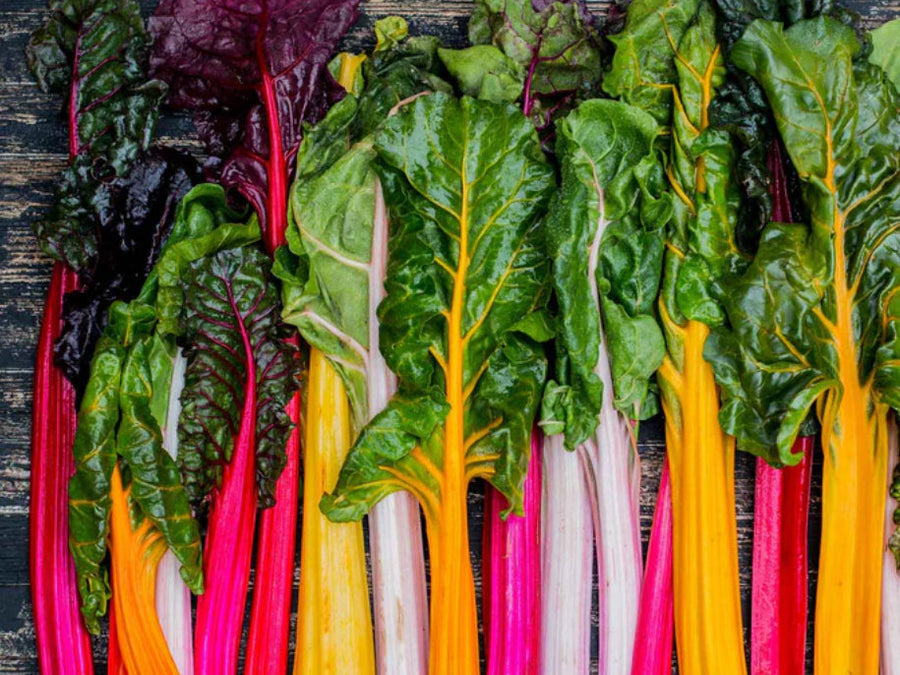 Sautéed Rainbow Chard with Garlic &amp; Lemon: A Recipe for Radiance and Remembrance
