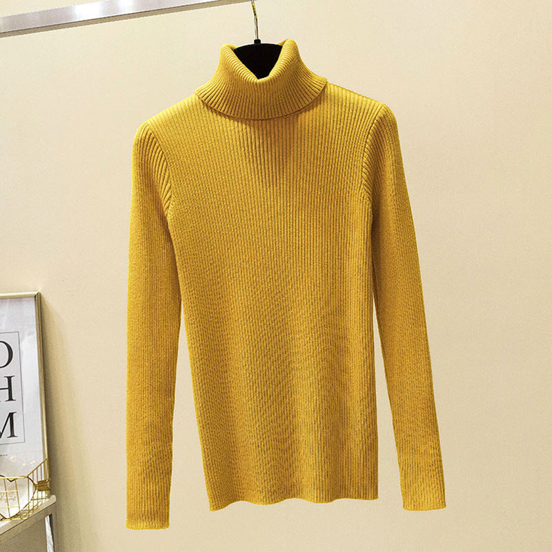 H&F Turtleneck Winter Sweater c