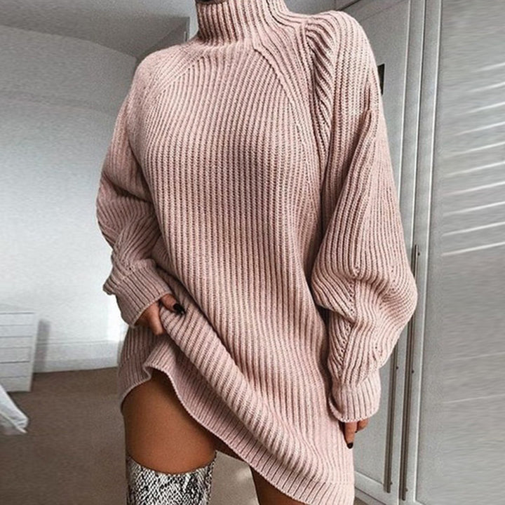 H&F Turtleneck Sweater Dress c
