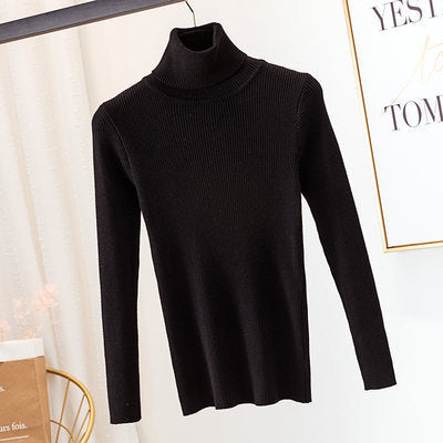 H&F Turtleneck Winter Sweater c