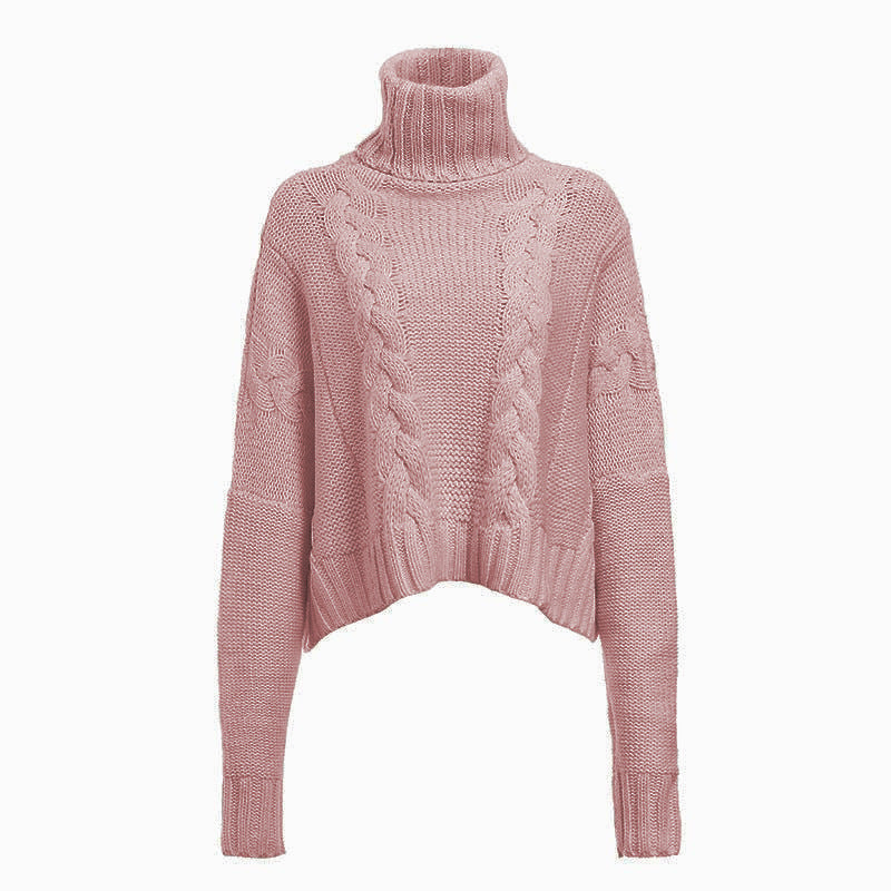 H&F Cable-Knit Turtleneck Sweater c