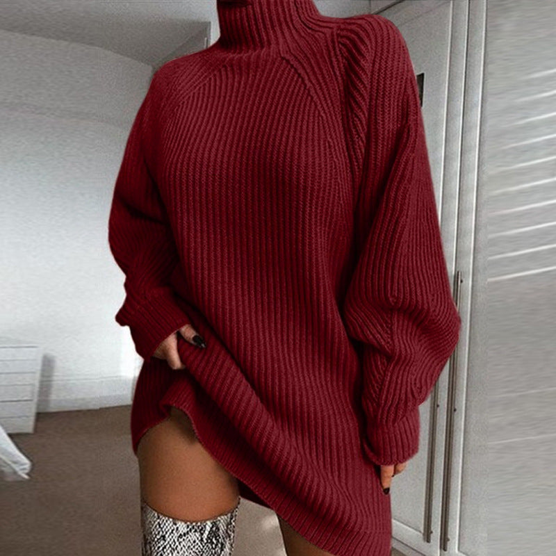 H&F Turtleneck Sweater Dress c