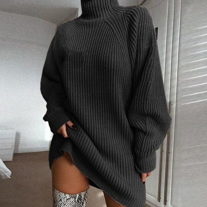H&F Turtleneck Sweater Dress c