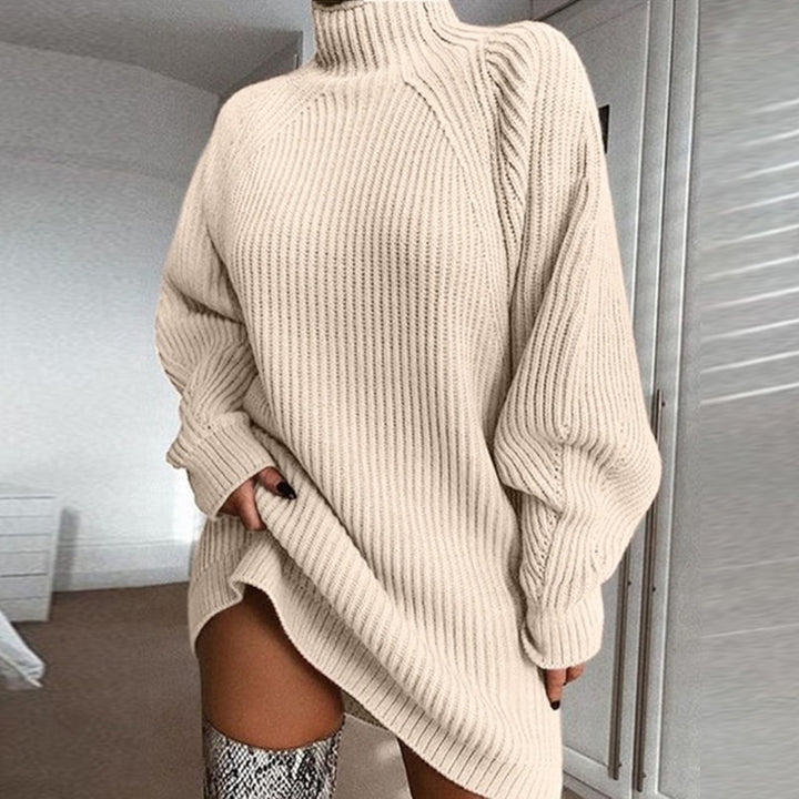 H&F Turtleneck Sweater Dress c