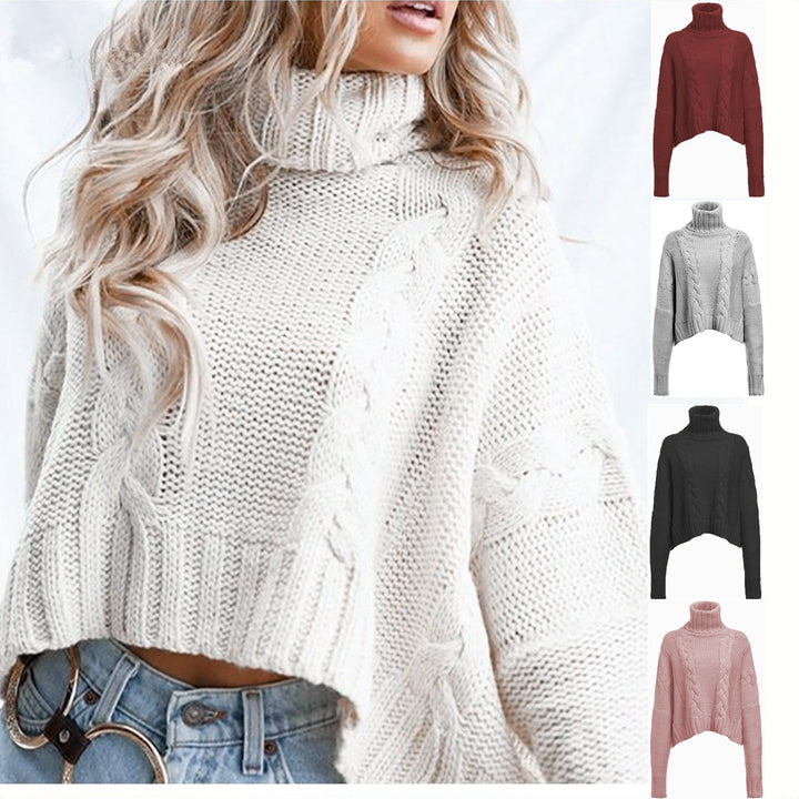 H&F Cable-Knit Turtleneck Sweater c