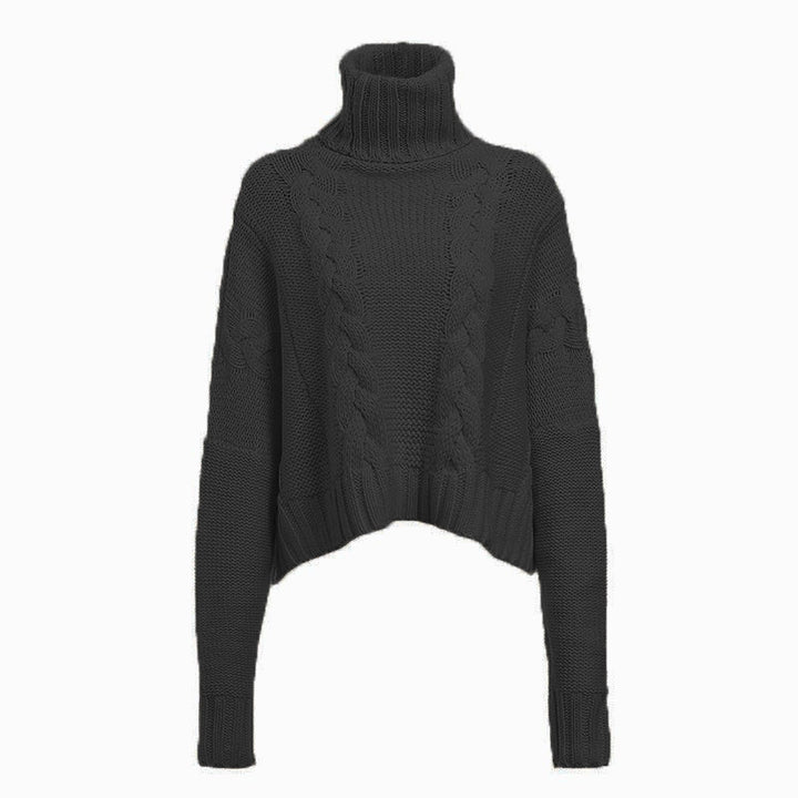 H&F Cable-Knit Turtleneck Sweater c