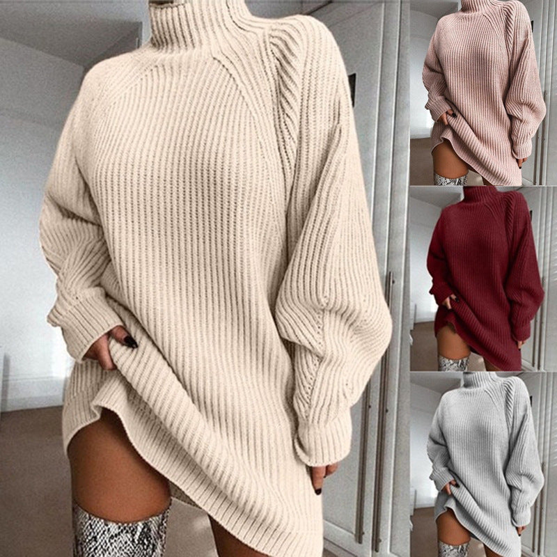 H&F Turtleneck Sweater Dress c