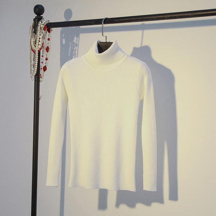 H&F Turtleneck Winter Sweater c