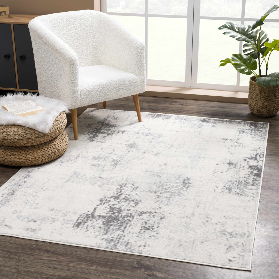H&F Gray Ivory Rug d