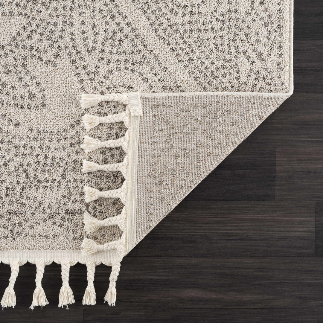 H&F Birdwood Area Rug d