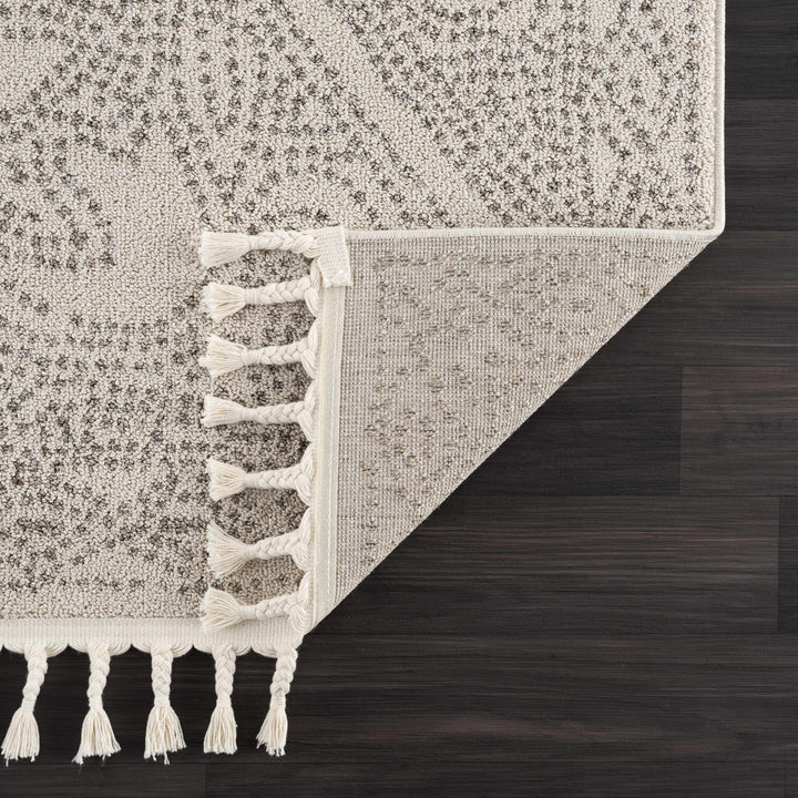 H&F Birdwood Area Rug d