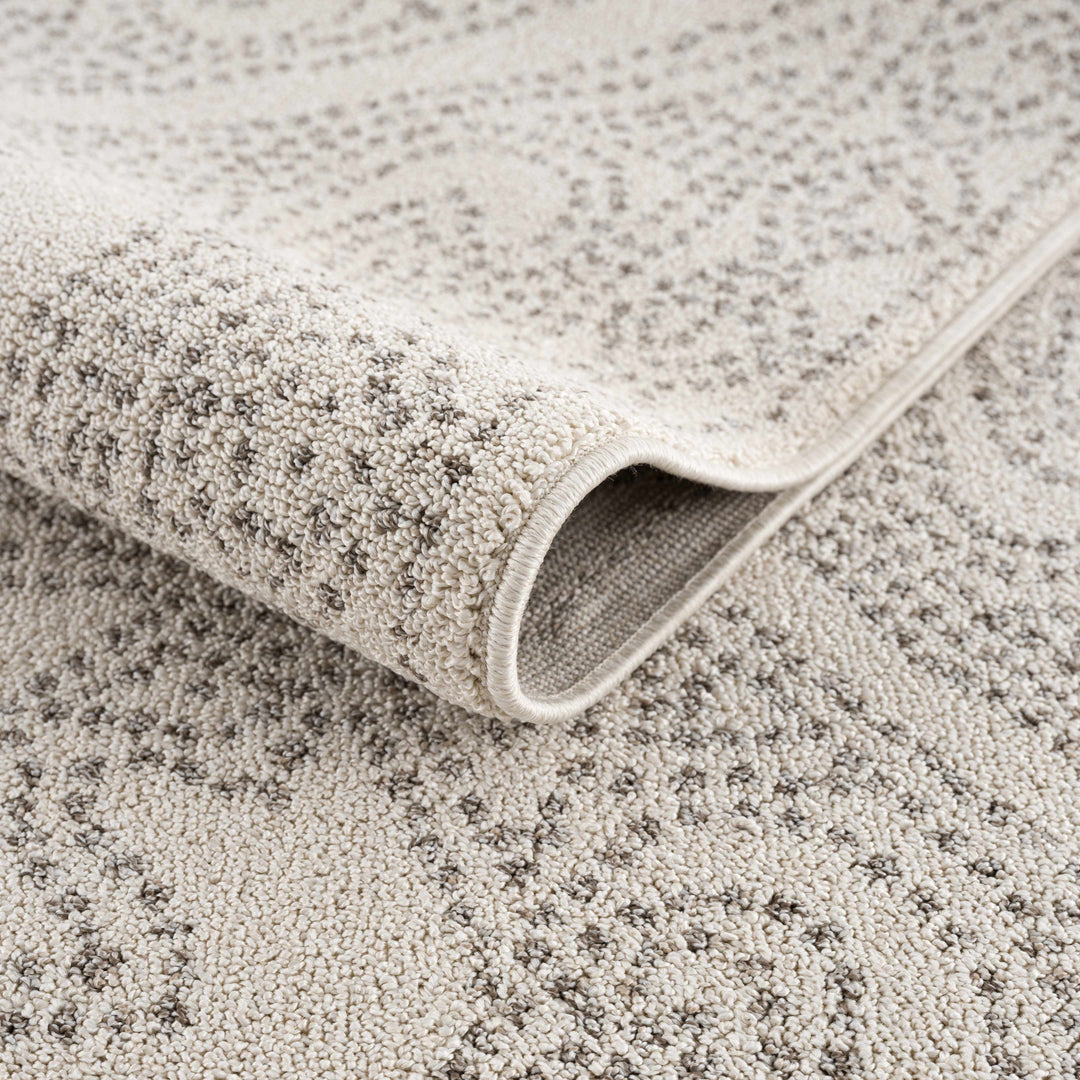 H&F Birdwood Area Rug d