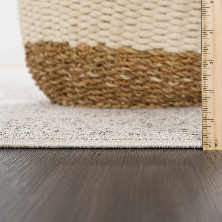 H&F Birdwood Area Rug d