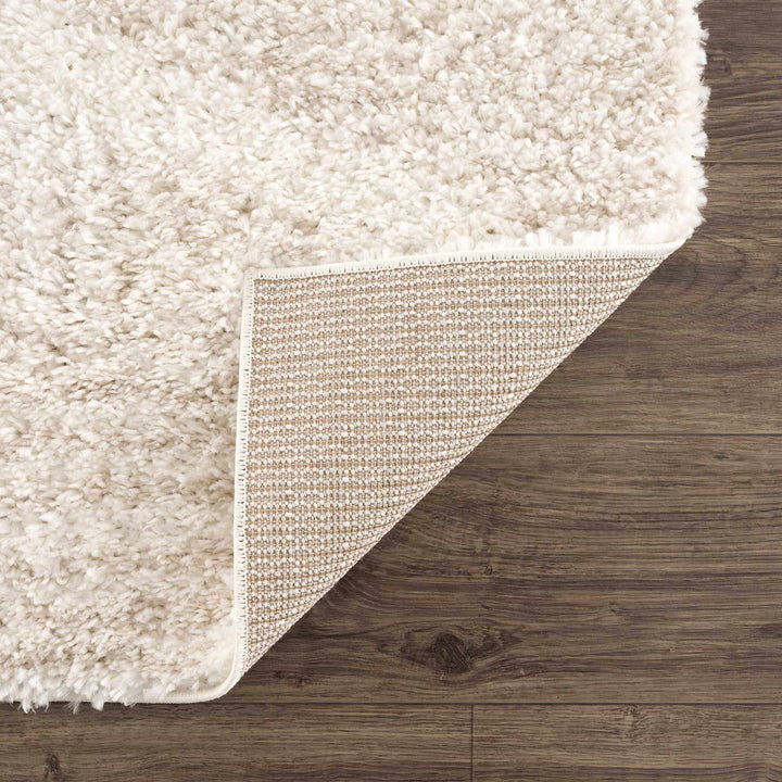 Trunding Plush Area Rug in Light Beige