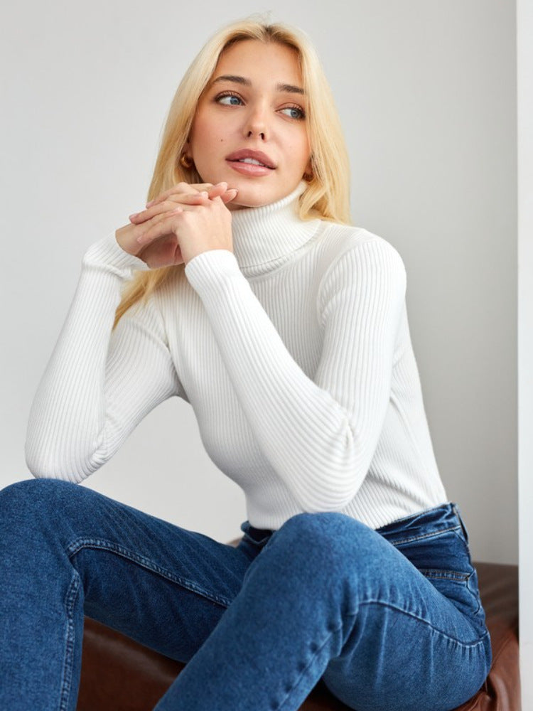 Knitwear Turtleneck Pullover