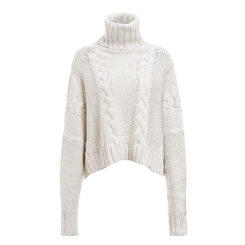 H&F Cable-Knit Turtleneck Sweater c