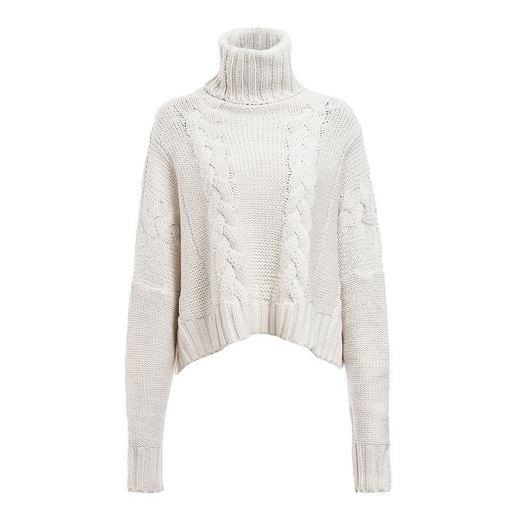 H&F Cable-Knit Turtleneck Sweater c