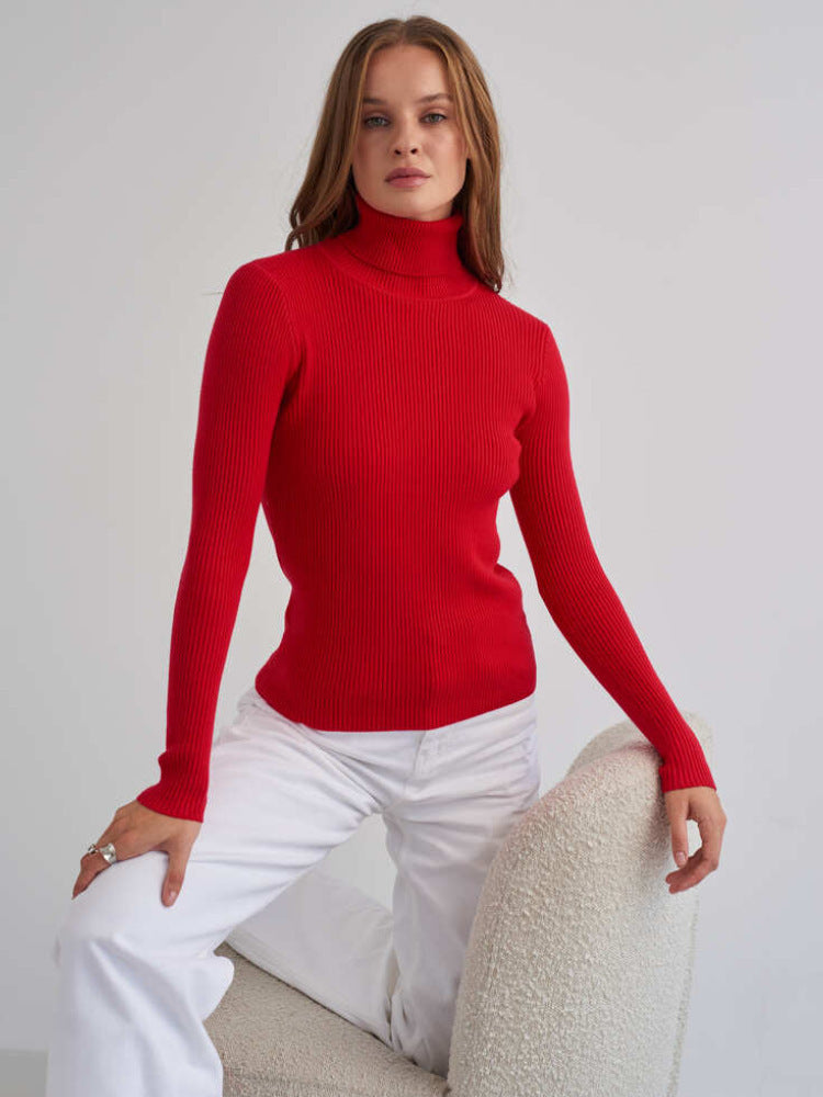 Knitwear Turtleneck Pullover