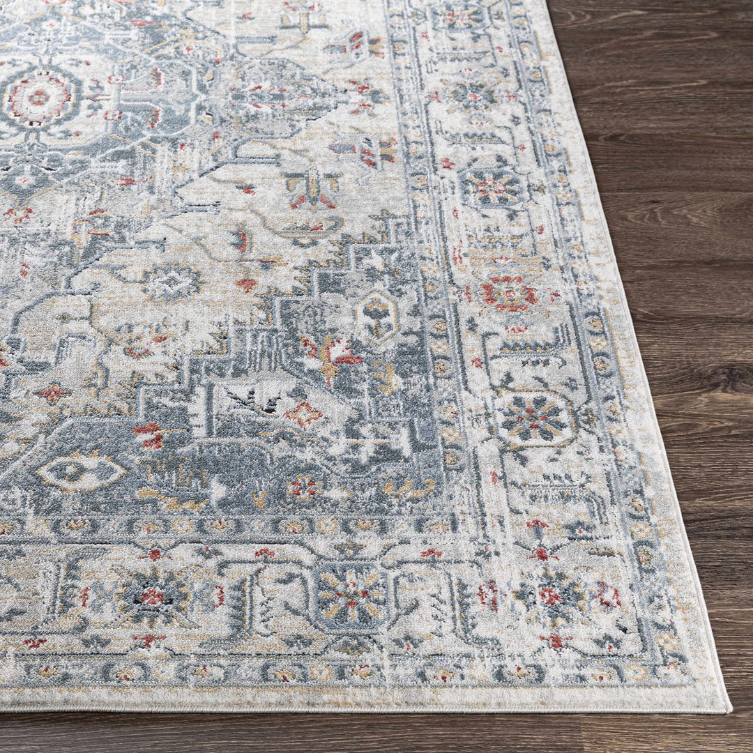 H&F Billings Area Rug d
